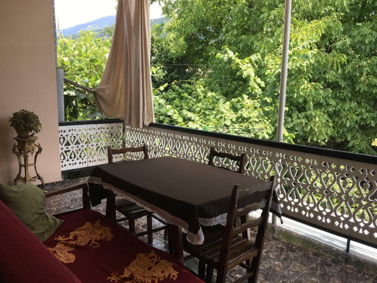 Guesthouse Aisi In Lagodekhi Buitenkant foto